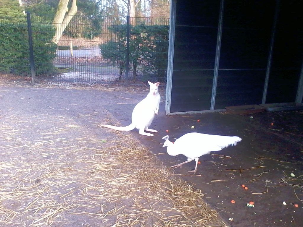 Stadsboerderij de Amsteldieren - Amsterdam